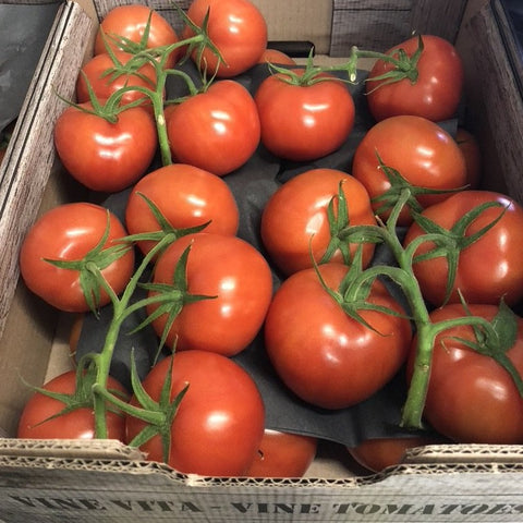Vine tomatoes 500g - Langthorpe Farm Shop