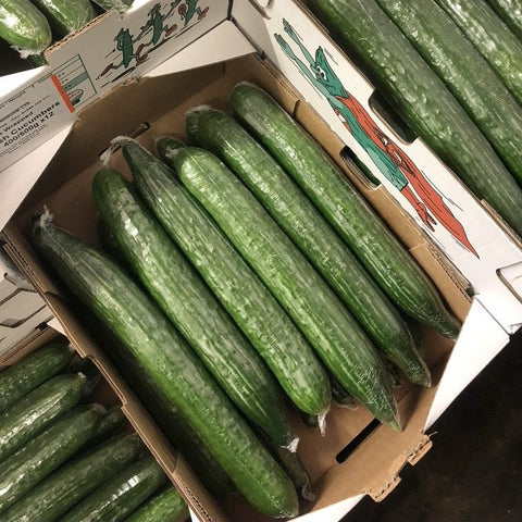 Cucumber - Each - Langthorpe Farm Shop