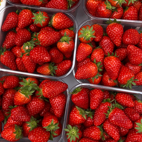 Strawberries Punnet - Langthorpe Farm Shop