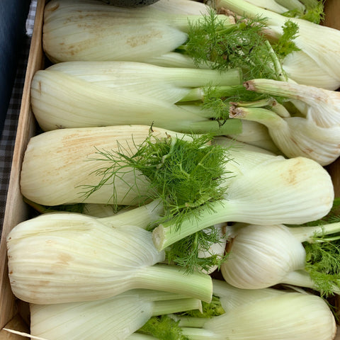 Fennel bulb - Langthorpe Farm Shop