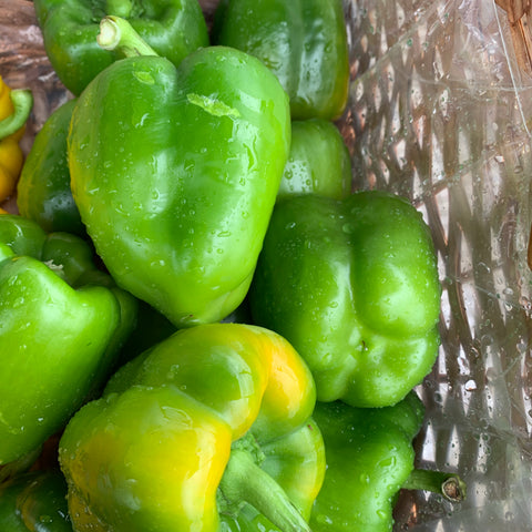 Green Peppers each - Langthorpe Farm Shop