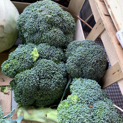 Broccoli kg - Langthorpe Farm Shop