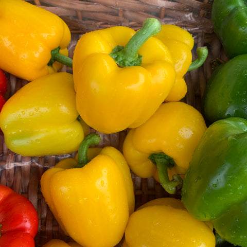 Yellow Peppers each - Langthorpe Farm Shop