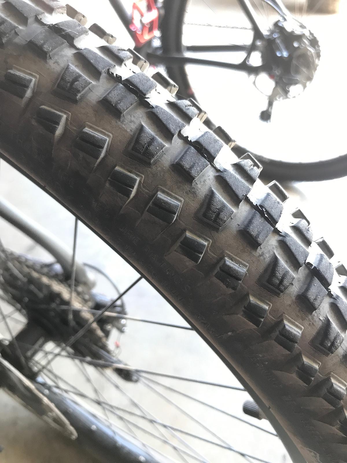 Customer Review Wtb Trail Boss Tcs Tough Tires Worldwide Cyclery