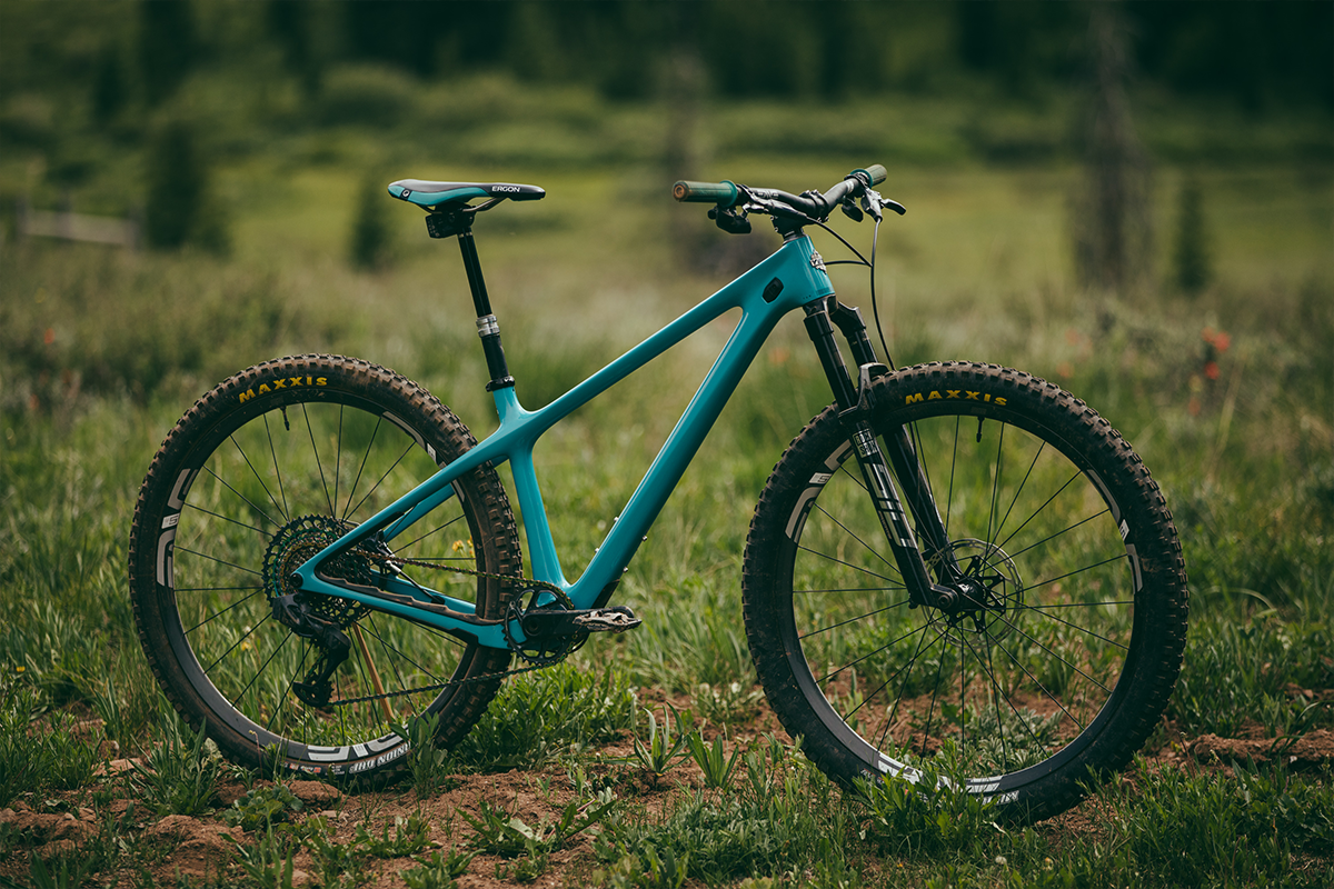 carbon hardtail