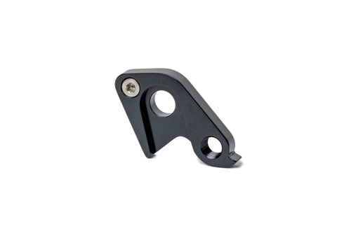 spare derailleur hanger