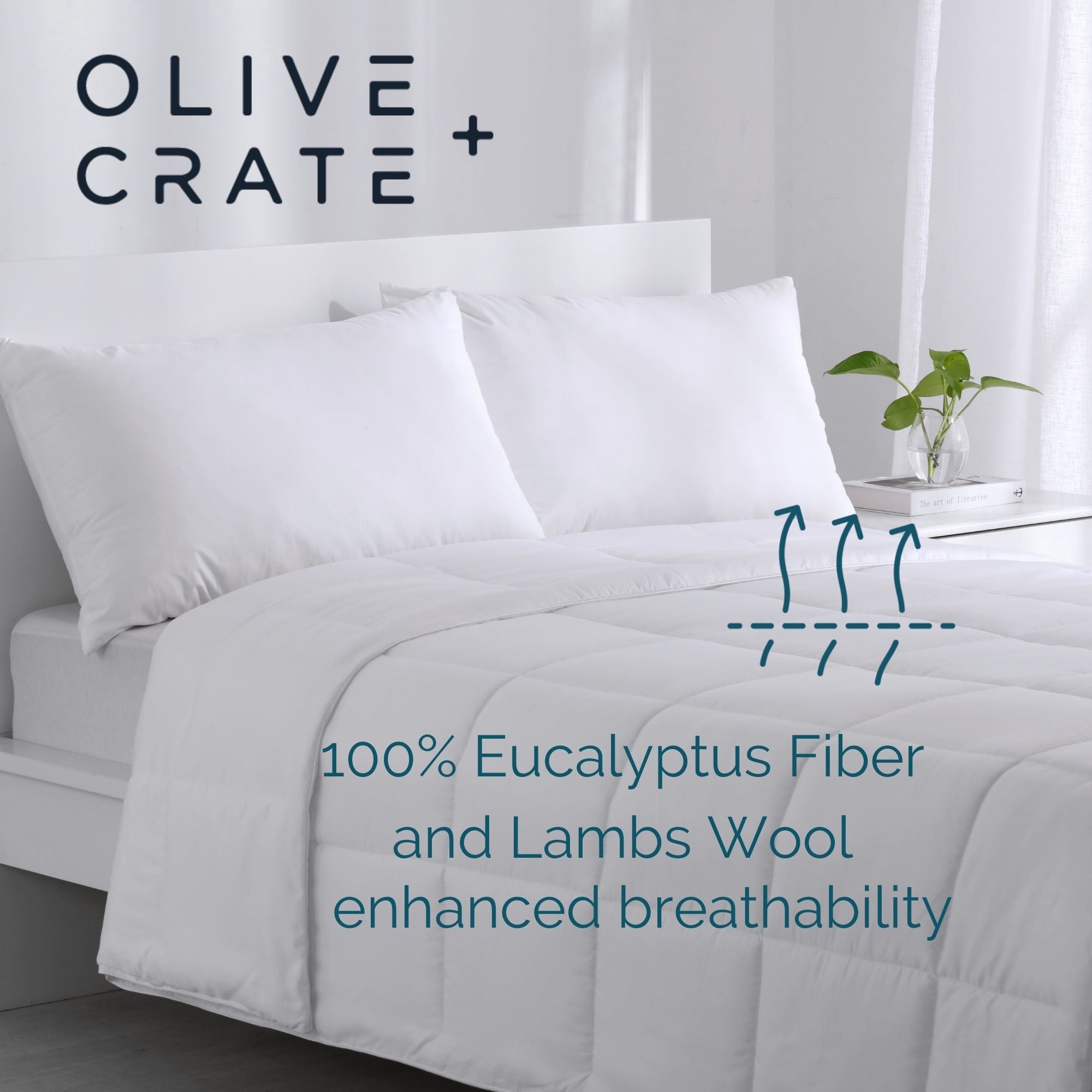 eucalyptus bed comforter