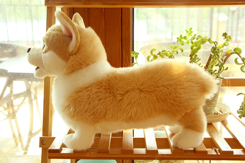 welsh corgi stuffed animal