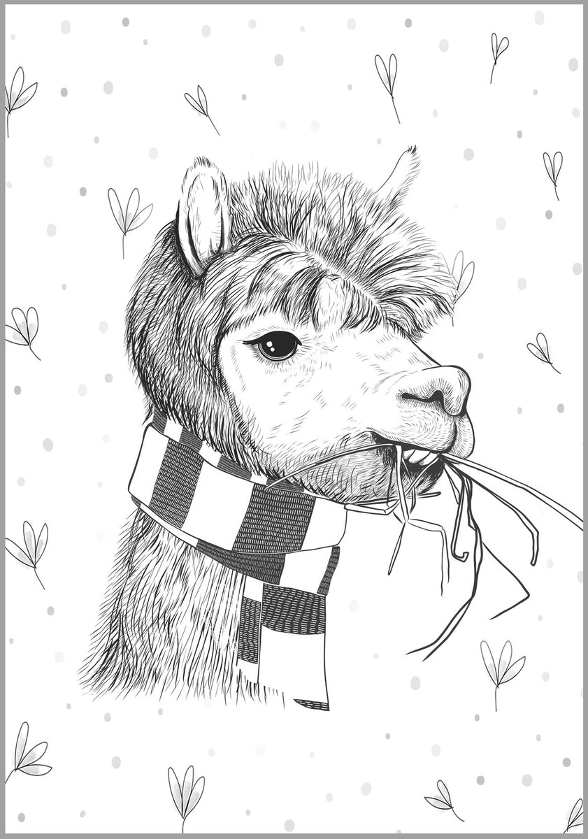 Alpaca & Llama Cool Collection, PDF Coloring Book For Adults – Rachel