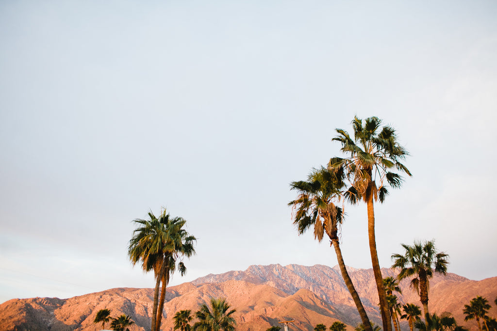 Palm Springs Sunset