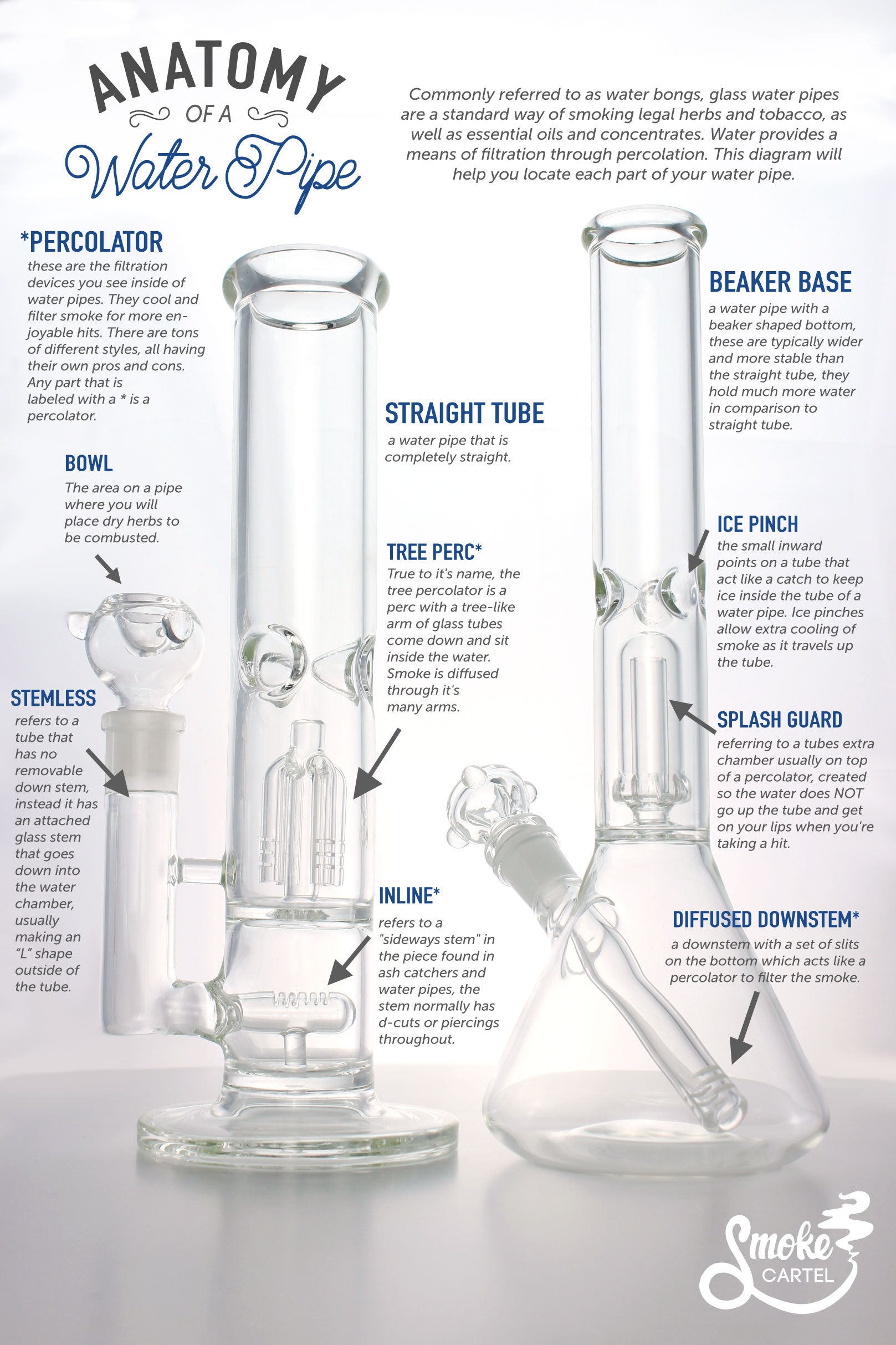 Anatomy of a Water Pipe Infographic