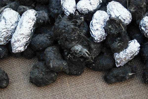 Barn Owl Pellets for Sale | Buy Owl Pellets Online