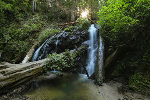 Russian Gulch State Park