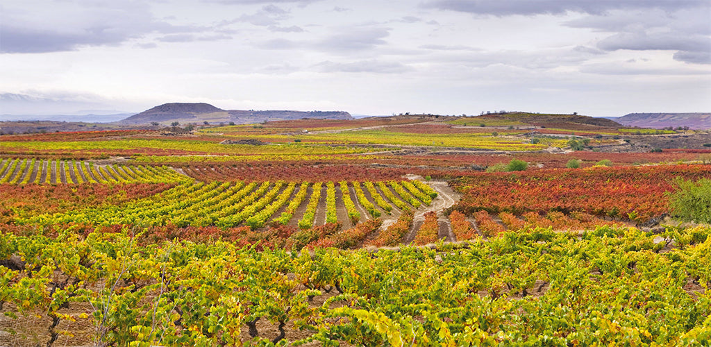 Rioja Vineyards