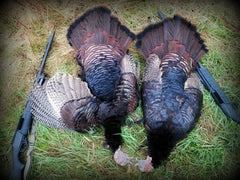 Maine Turkey Hunt