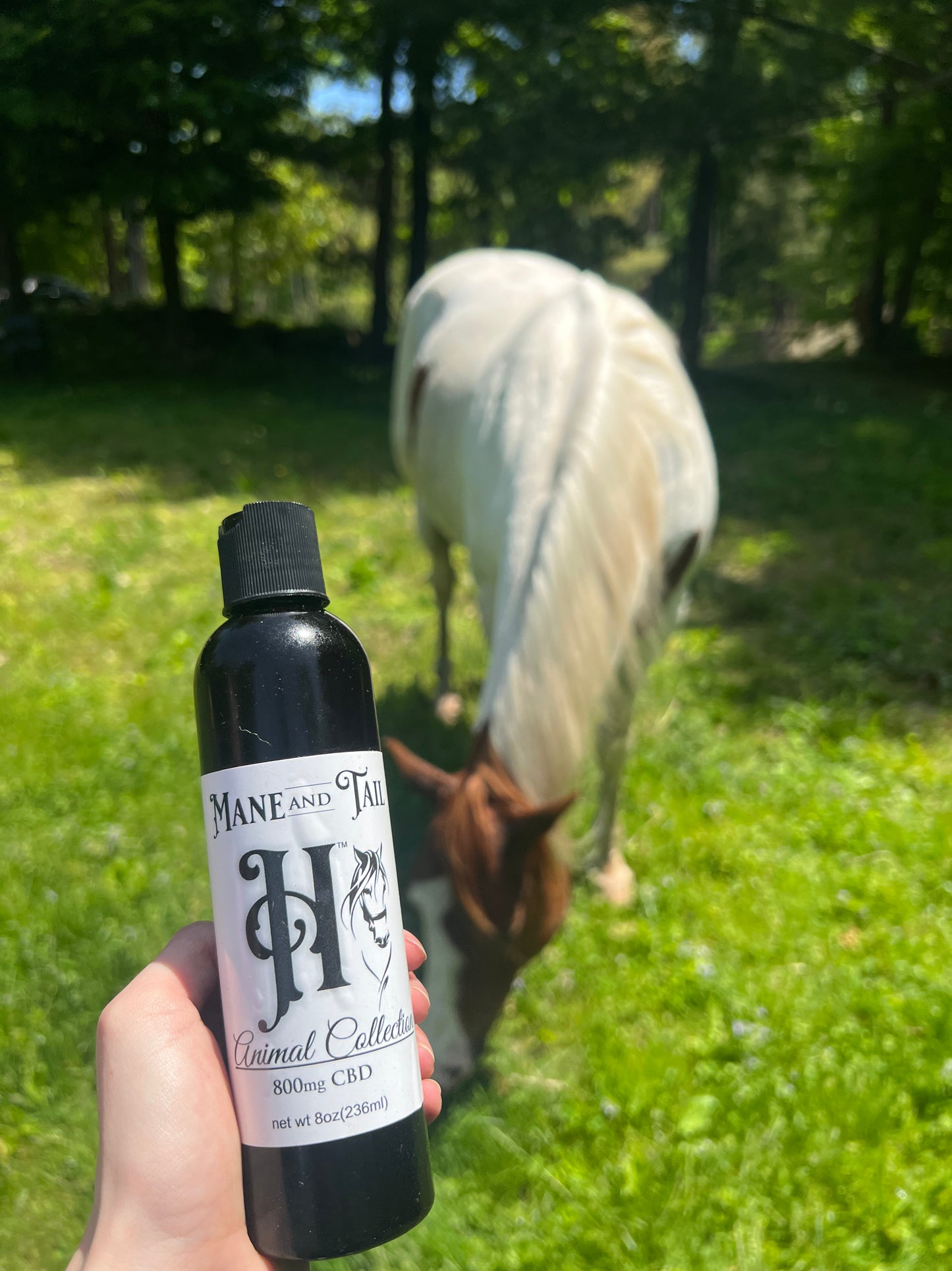 CBD Mane and Tail