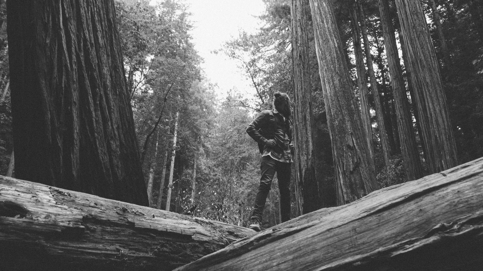 Muirwoods-sanfrancisco-california-hike-thennowalways