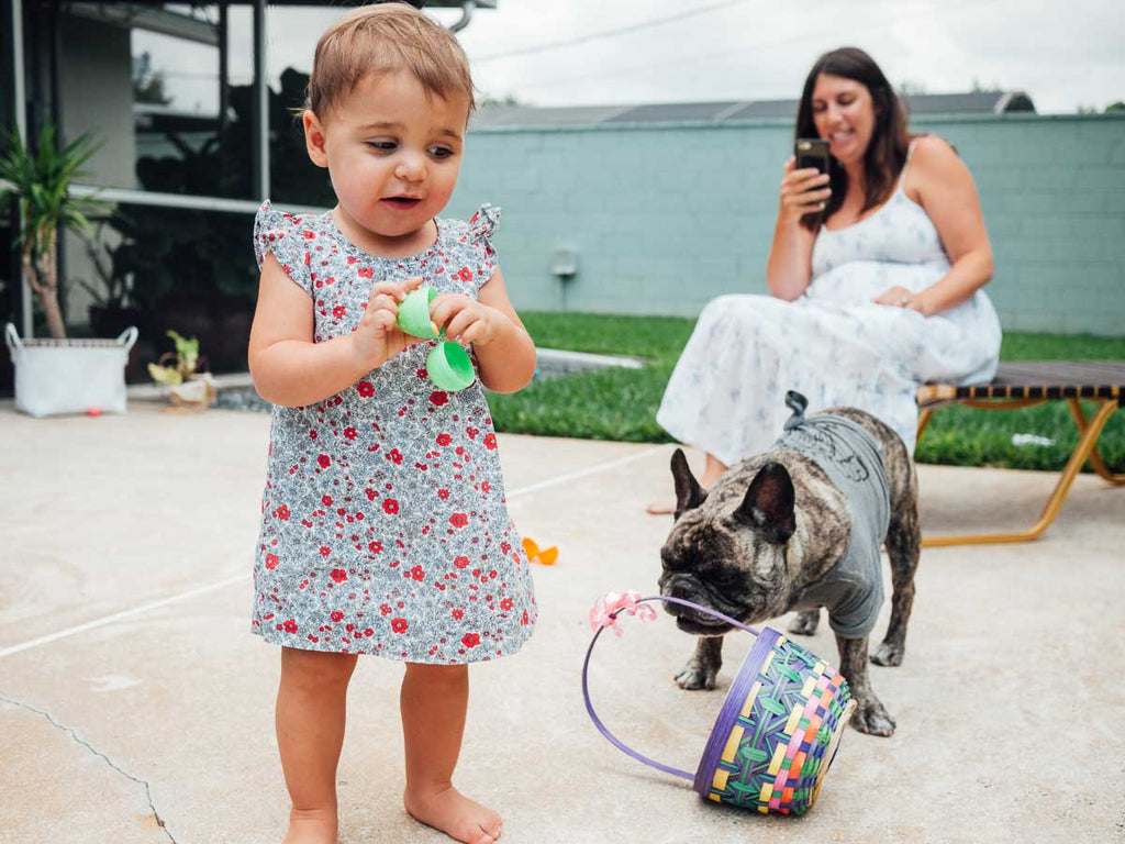 easter-2020-quarantine-easteregg-easteregghunt-frenchbulldog-babysfirsteaster