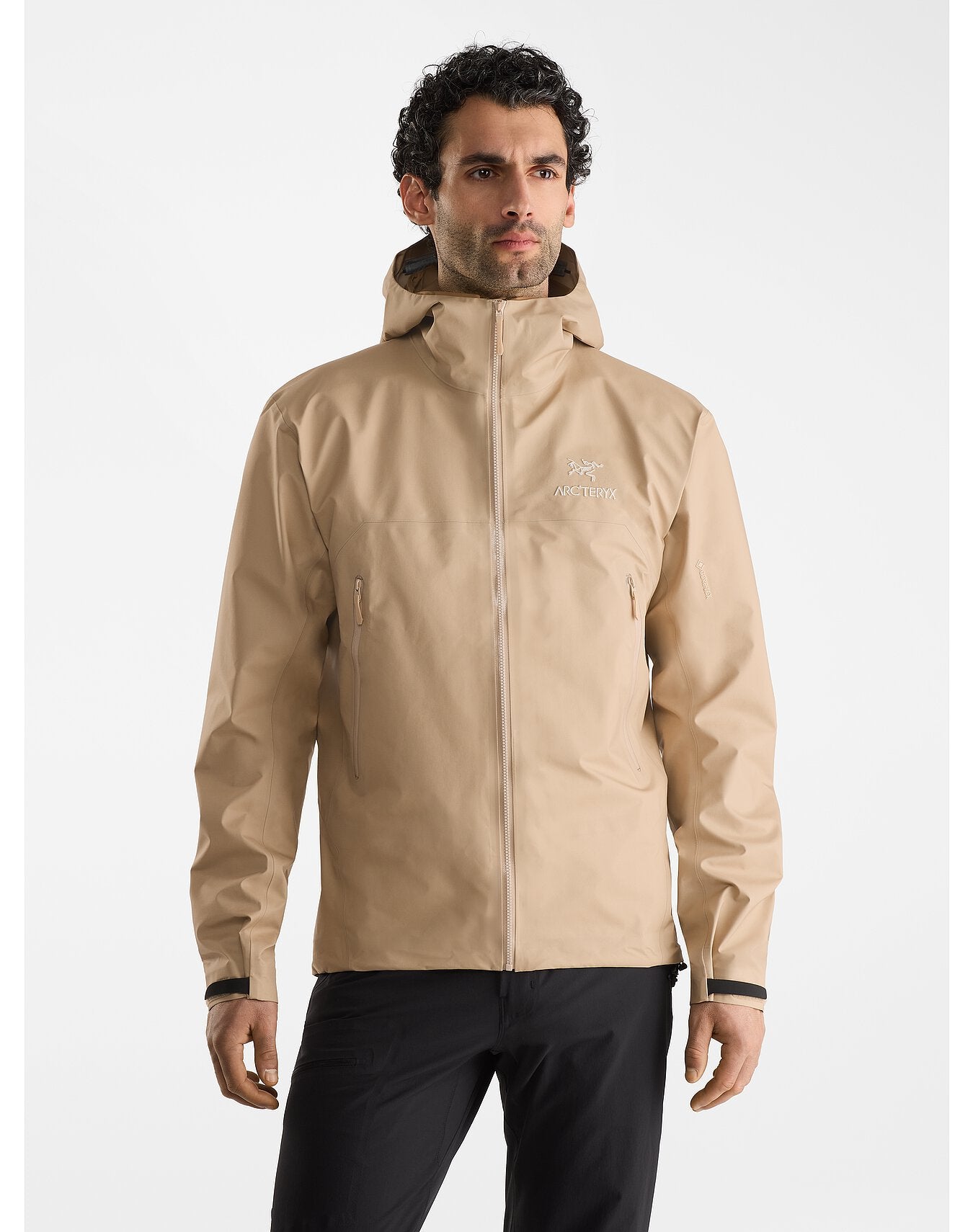 Arc'teryx Men's Beta Jacket in Wicker