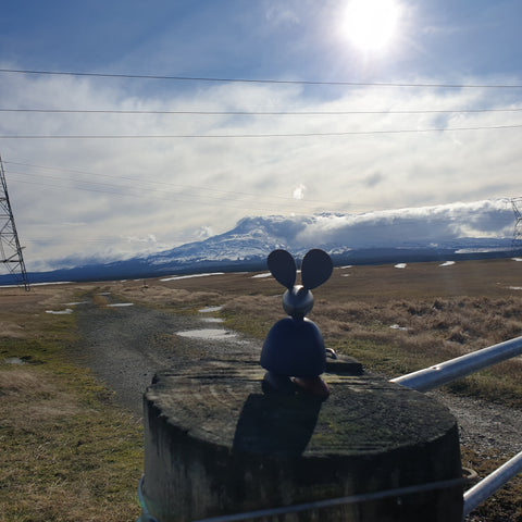 wooden toy on desert road in front of Ruapehu