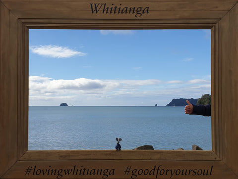 wooden toy at Whitianga