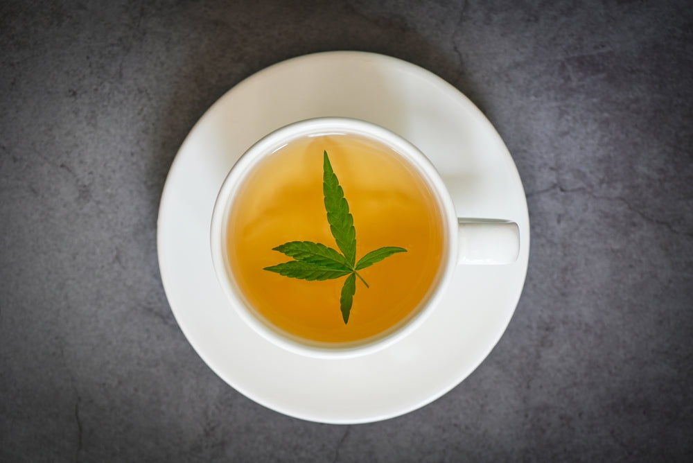 What is the Difference Between CBD and THC