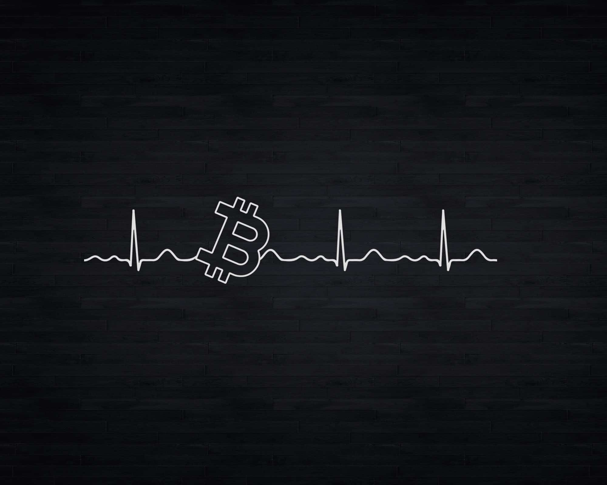 bitcoin blockchain network visualizer heart beat of bitcoin