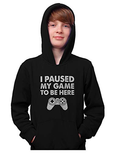 Tstars I Paused My Game to Be Here Funny Gift for Gamer Hoodie