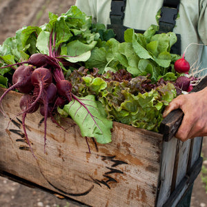 Curated Farm Bags