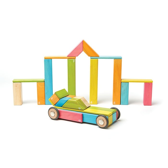 tegu magnetic blocks