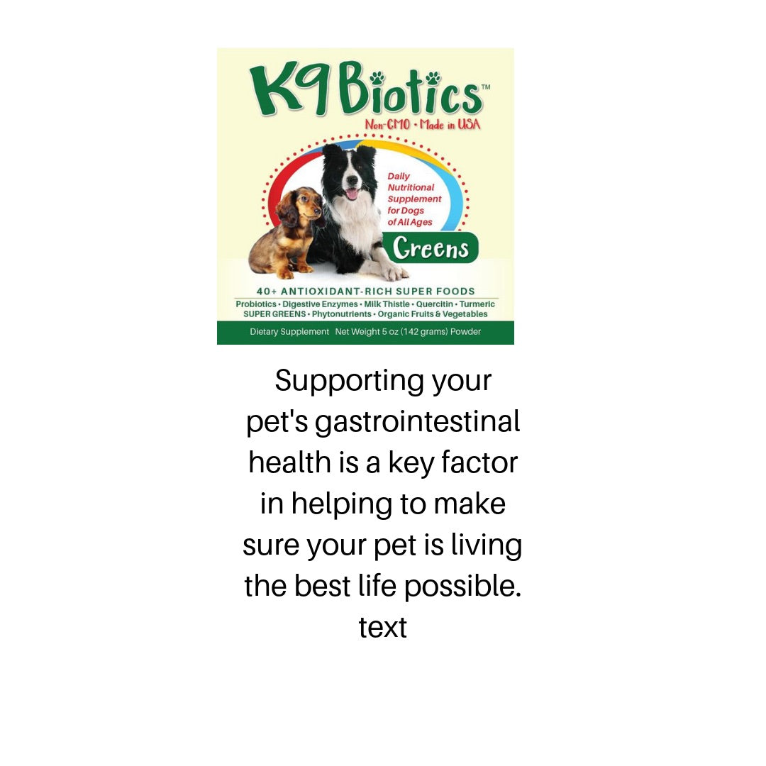 is-your-dog-on-apoquel-and-cytopoint-shots-read-this-asap-k9biotics