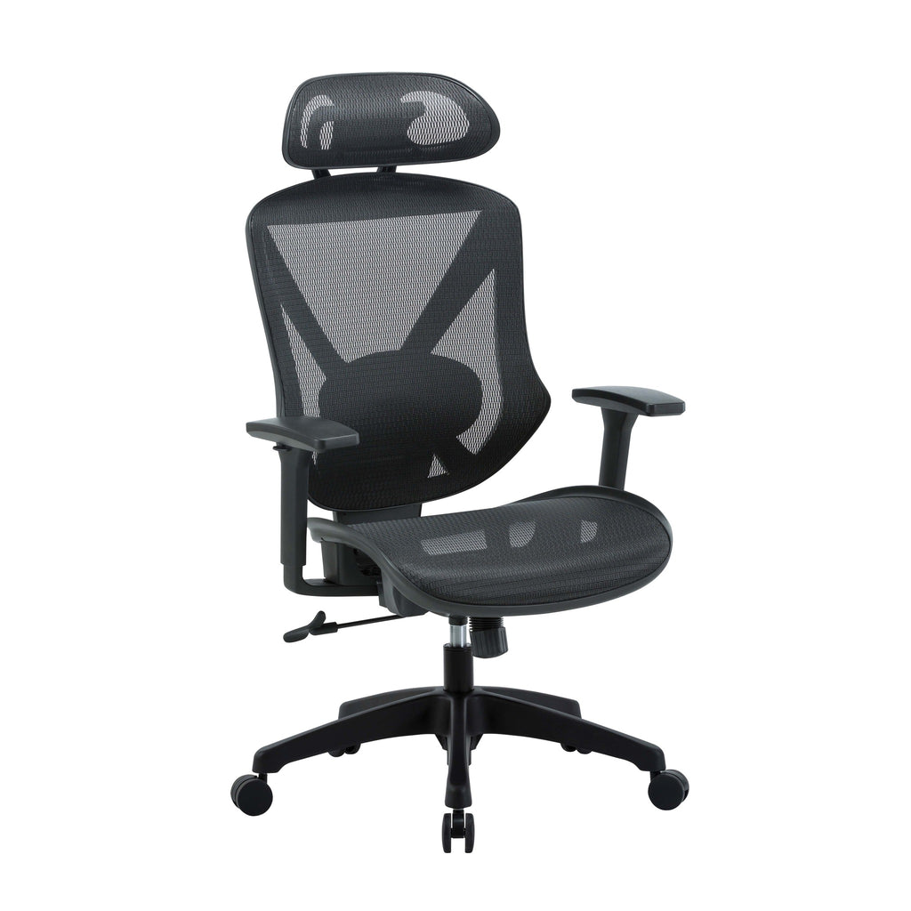 ergonomic chair supports