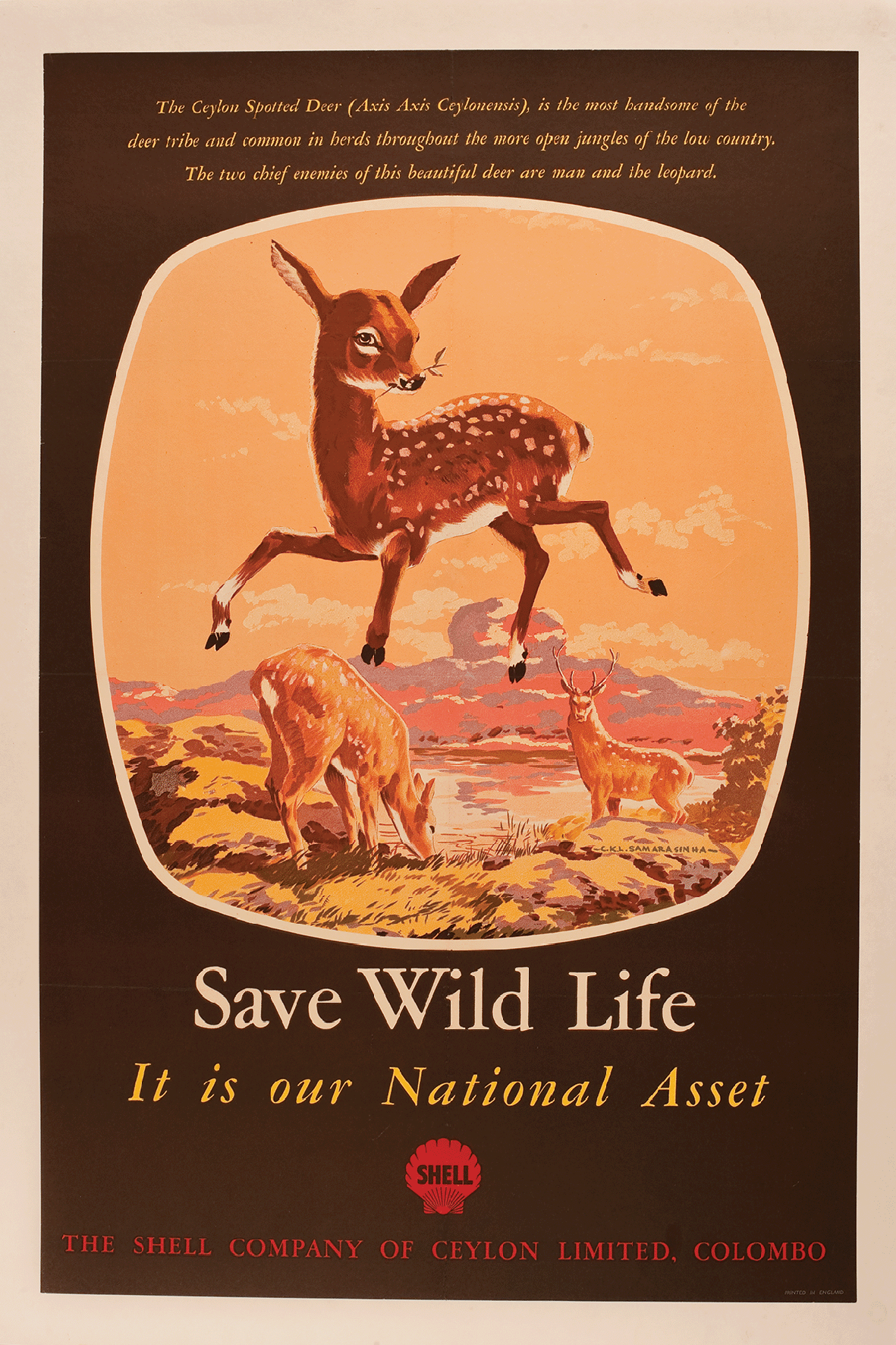 Save Wild Life - Sigiriya 1940s - Sri Lankan Wildlife Conservation Soc –  Stick No Bills®, courtesy of The Poster Design Group Ltd