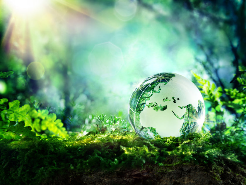 Earth Smart Solutions | Green, Eco-friendly, Bio-based company ...