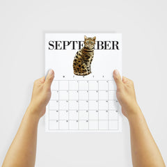 cat calendar