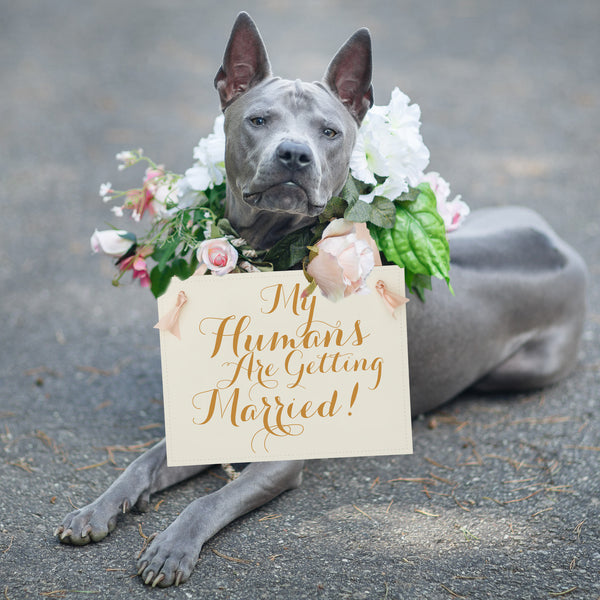 Wedding Sign My Humans Are Getting Married Dog Pet Church Aisle Sign Photo Prop 