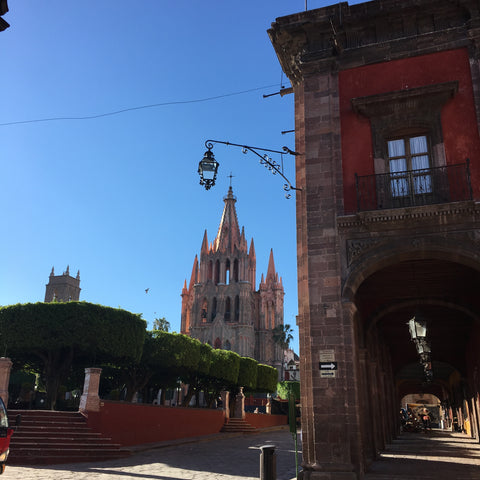 San Miguel de Allende by Zinnia Folk Arts