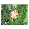 ENSKY Studio Ghibli My Neighbor Totoro Riding on Totoro 366