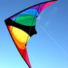 WINDSPEED Stinger Trick Dual Control Stunt Kite