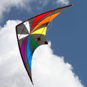 WINDSPEED Backdraft High Performance Dual Control Stunt Kite