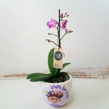 Cargar imagen en el visor de la galería, Mini Orquídea Qispi Kay
