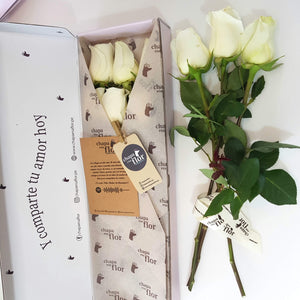 Condolencias Box Premium Rosas Blancas