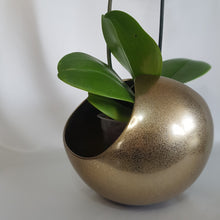 Cargar imagen en el visor de la galería, Orquídea Sami base esfera dropping dorado
