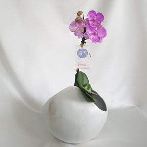 Orquídea Pillpintu base esfera color mármol blanco