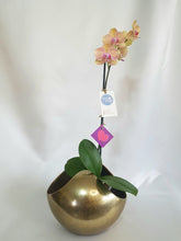 Cargar imagen en el visor de la galería, Orquídea Kawsay base esfera dropping dorado
