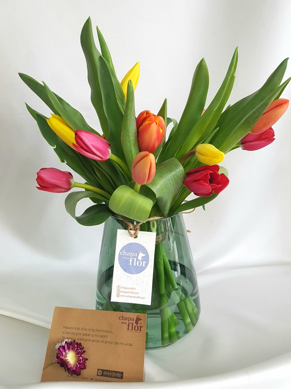 Arreglo de Tulipanes Multicolor x 15 – Chapa esa Flor