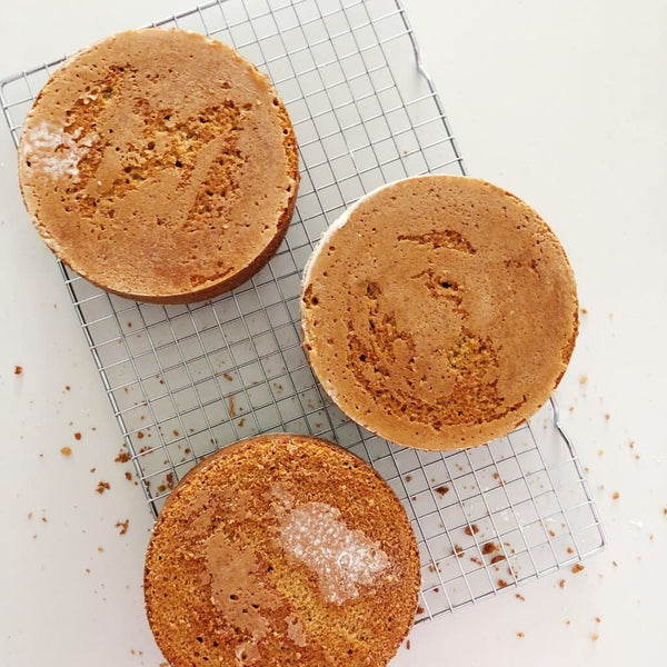 Best Coffee Cake Recipe - baked sponge layers
