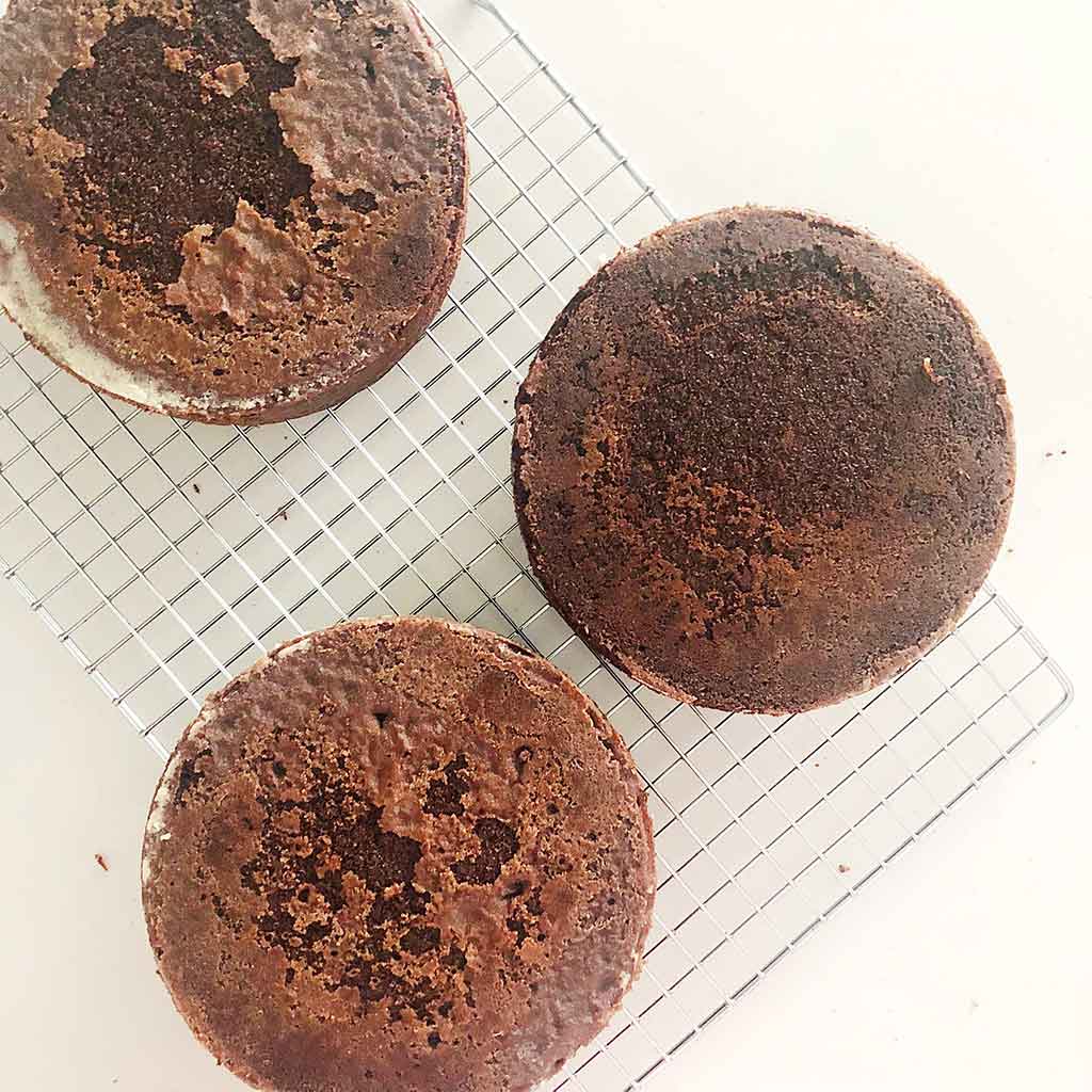 chocolate cake recipe - sponges