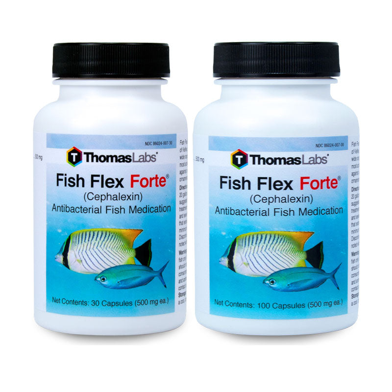 Thomas labs Fish Flex 250mg & Fish Flex Forte 500mg- Cephalexin ...