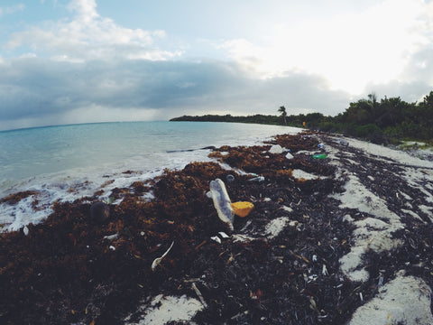 Belize Plastic Beaches | Arisa Yoon Photography